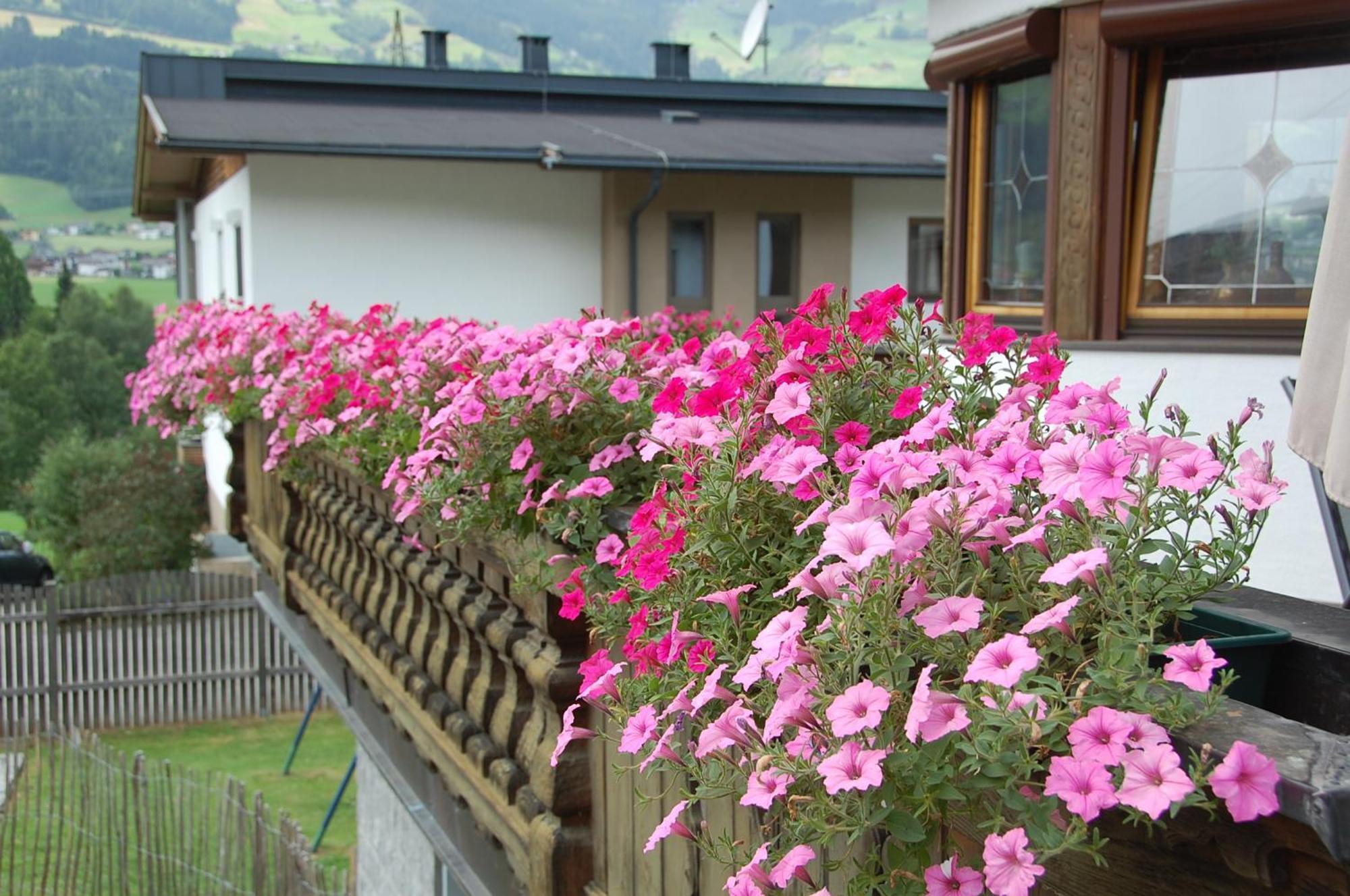 Villa Haus Hart Im Zillertal 6 Personen Exterior foto